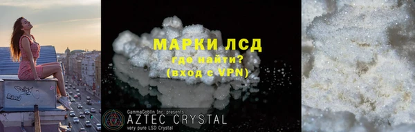 стафф Михайловск