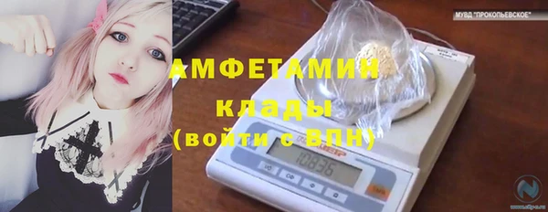 стафф Михайловск
