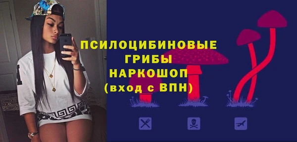 молекула духа Михайлов