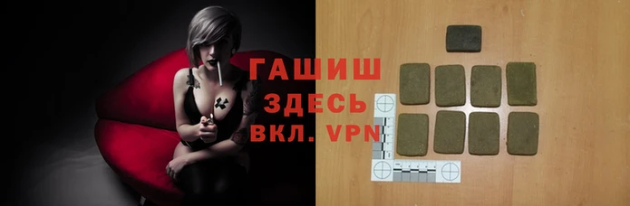 стафф Михайловск
