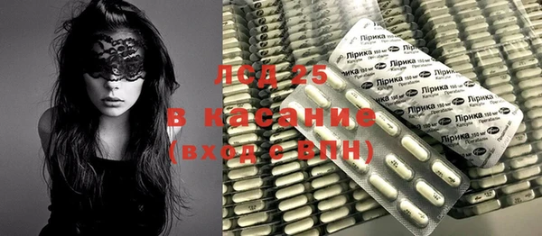 стафф Михайловск