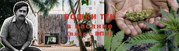 стафф Михайловск
