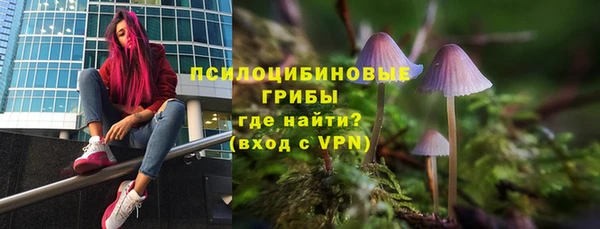 молекула духа Михайлов